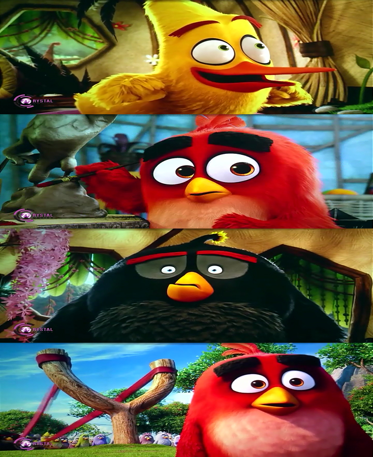 Angery Birds Screen Shots